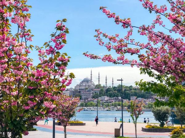 Estambul Turquía Mayo 2021 Mezquita Suleymaniye Cuerno Oro Con Flores — Foto de Stock