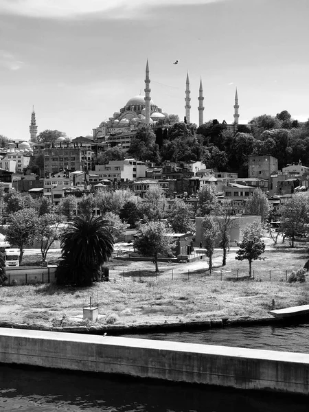 Istanbul Turkey May 2021 Panoramic Cityscape Istanbul Suleymaniye Mosque Overlooking — Stock Photo, Image