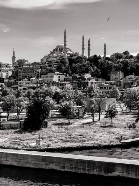 Стамбул Туреччина Травня 2021 Панорамний Пейзаж Стамбула Мечеті Сулейманіє Видом — стокове фото