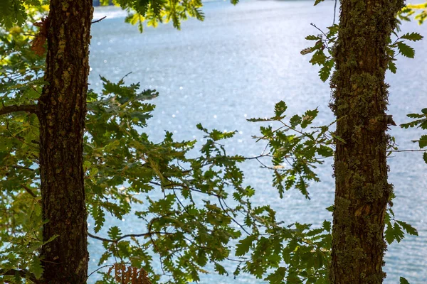 Vista Burcun Goleti Piccolo Lago Nel Villaggio Burcun Nella Provincia — Foto Stock