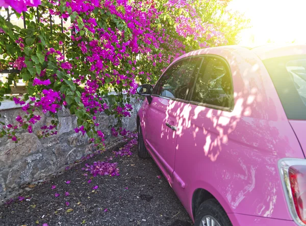 Ortakent Bodrum Yarımadası'nda Begonvil kapalı mahalle — Stok fotoğraf