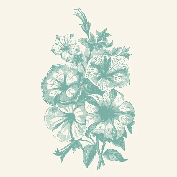 Begonias vintage — Vector de stock