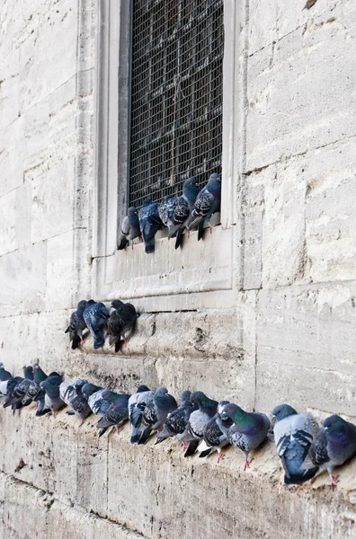 Eminönü bölgesinde, istanbul yeni cami (yeni cami) — Stok fotoğraf