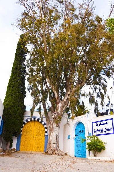 Tunis, Tunisko — Stock fotografie