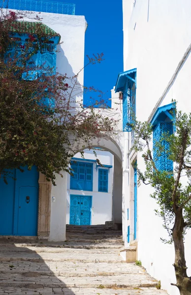 Tunis, Thunfisch — Stockfoto