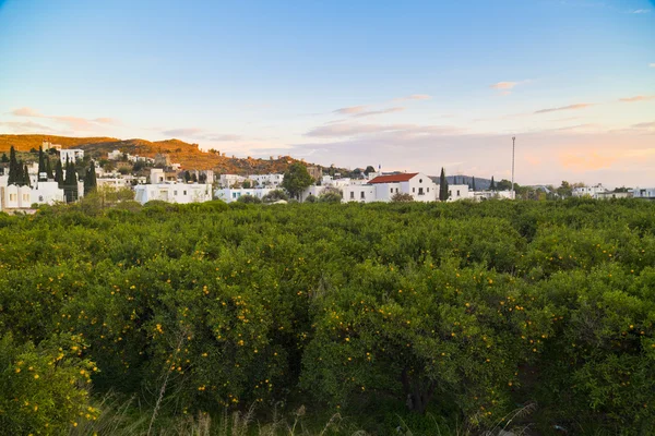 Ortakent village in Bodrum, Turkey — Stock Photo, Image