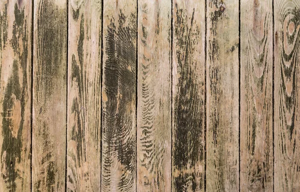 Pannelli di legno — Foto Stock