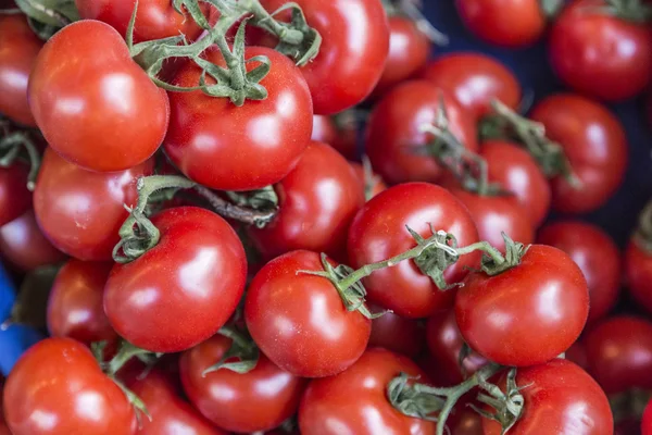 Tomates biologiques fraîches — Photo