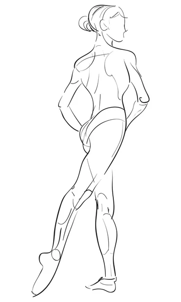 Female anatomy drawing sketch — Stock vektor