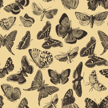 Butterfly Pattern clipart