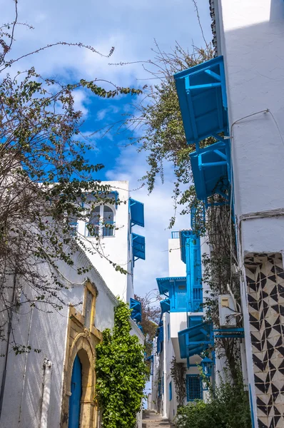 Vista detallada arquitectónica de la arquitectura tradicional tunecina — Foto de Stock