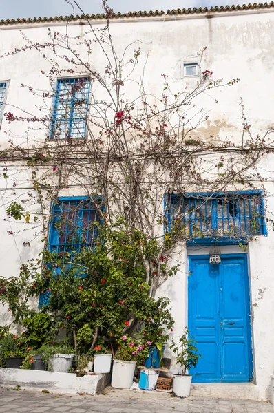 Vue détaillée architecturale de l'architecture traditionnelle tunisienne — Photo