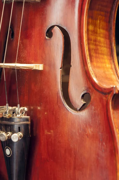 Instrumento musical de corda close up — Fotografia de Stock