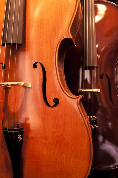 Stringed musical instrument close up — Stock Photo, Image