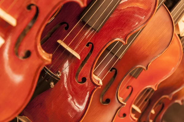 Instrumento musical de corda close up — Fotografia de Stock