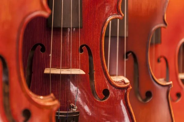 Stålsträngad musikinstrument på nära håll — Stockfoto