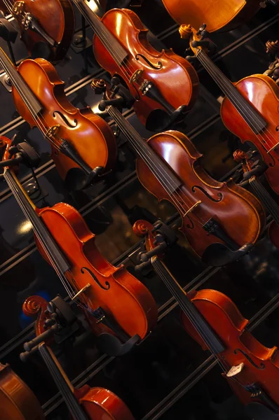 Stringed musical instrument close up — Stock Photo, Image