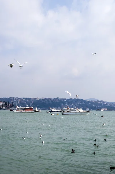 Vista desde el Bósforo que separa Europa de Asia, Estambul, Turquía . — Foto de Stock