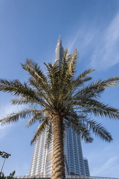 Veduta del quartiere Emaar, centro di Dubai, Emirati Arabi Uniti — Foto Stock