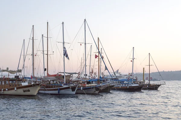 Vue sur la côte de Bodrum — Photo