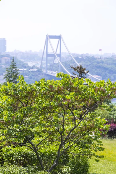 Istambul Turquia Maio 2016 Cidade Istambul Vista Bósforo Com Ponte — Fotografia de Stock