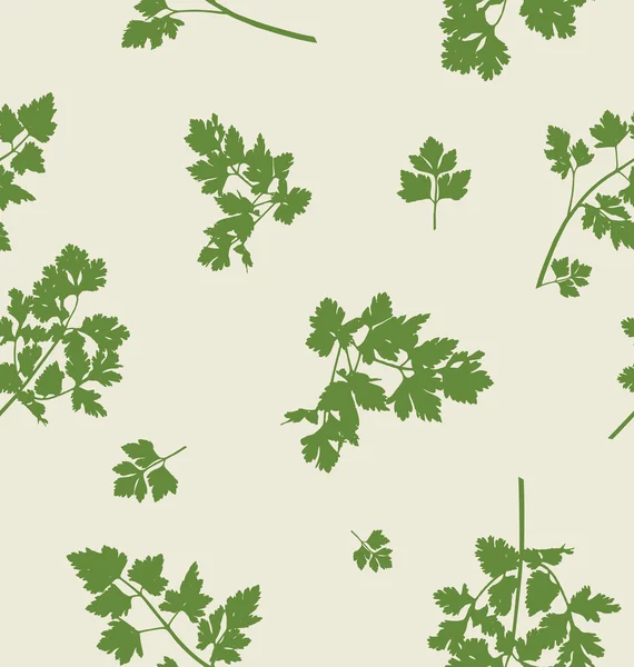Modèle sans couture avec feuilles de persil — Image vectorielle
