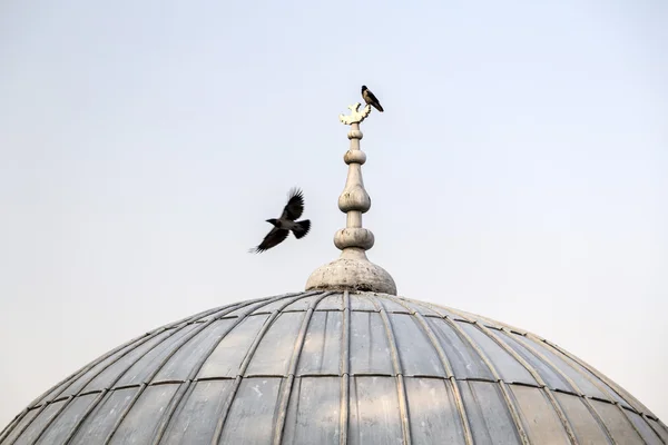 Suleymaniye Moschee, istanbul, Türkei — Stockfoto