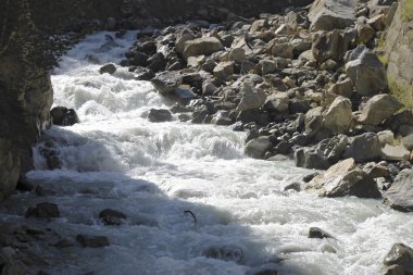 Kanyonda akan nehir vahşi dağ