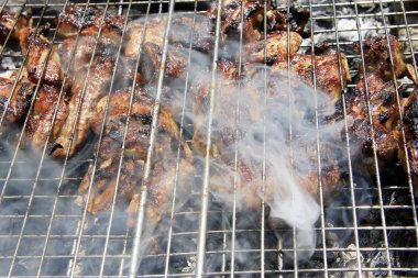 şenlik ateşi ve kömürlerin üzerinde kızarmış Barbekü