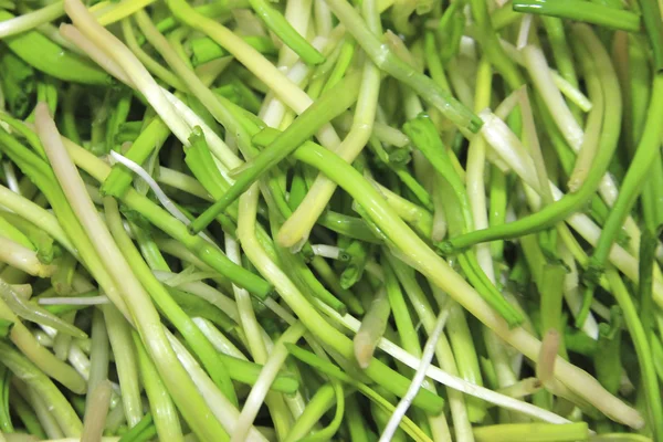 Bahar ramson veya yabani pırasa kaynaklanıyor taze hasat