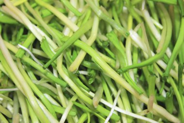 Bahar ramson veya yabani pırasa kaynaklanıyor taze hasat