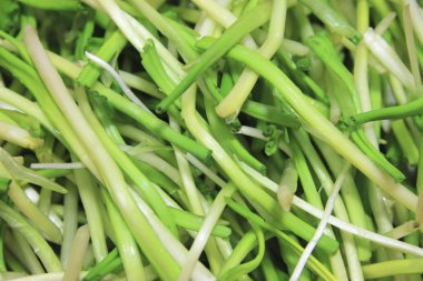 Bahar ramson veya yabani pırasa kaynaklanıyor taze hasat