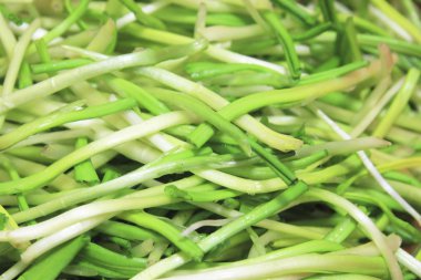 Bahar ramson veya yabani pırasa kaynaklanıyor taze hasat