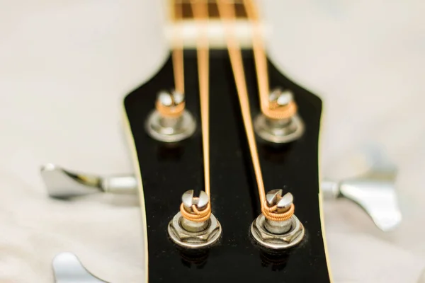 An acoustic bass guitar closeup isolated on the white background