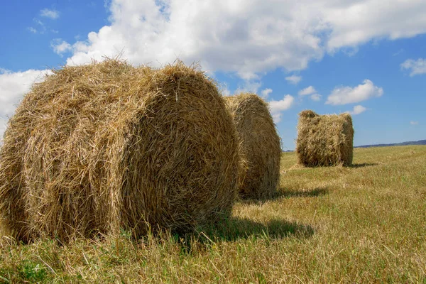 Straw Roll Bales Empty Field Daytime End Summer — Stock Photo, Image