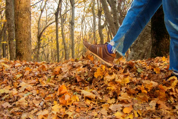 Женская Нога Толкает Желтые Осенние Листья Земли Парке — стоковое фото