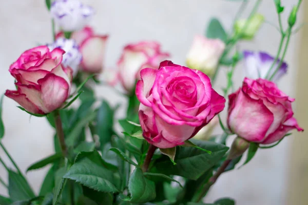 粉红与白玫瑰的紧密相连 点缀在爱的花束中 — 图库照片