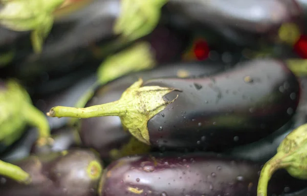 茎と水が付いている新鮮な黒ナスの収穫は閉じられ 健康的な食べ物 — ストック写真