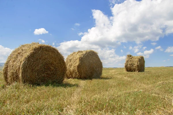Straw Roll Bales Harvested Field Daytime End Summer Blue Sky — Stock Photo, Image