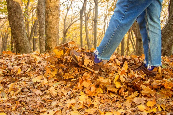 Pierna Femenina Patea Hojas Amarillas Otoño Desde Suelo Parque — Foto de Stock