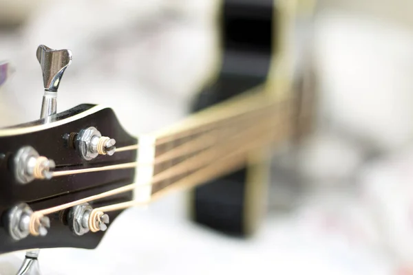 Acoustic Bass Guitar Closeup Isolated White Background — Stock Photo, Image