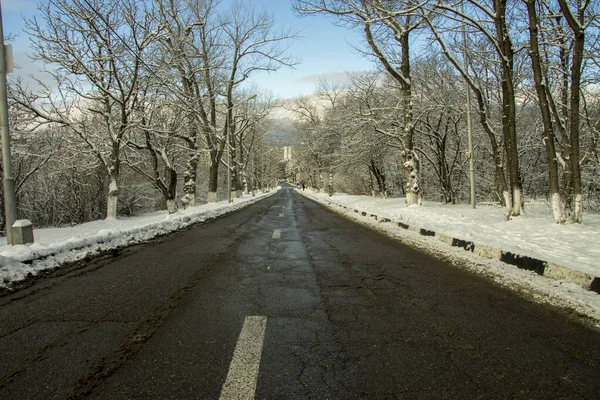 一条冬日的黑色沥青路面 旁边是白雪覆盖的树木 它向下延伸 蓝天背景清澈 — 图库照片