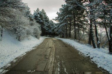 Kara asfalttan bir kış dağı yolu. Karlı ağaçların olduğu bir yol.