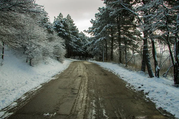 Een Winter Berg Rijweg Van Zwart Asfalt Met Besneeuwde Bomen — Stockfoto