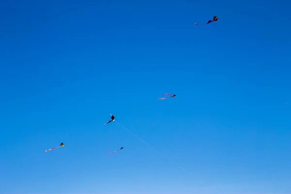 Een Kleurrijke Vliegende Vlieger Vlieg Tegen Blauwe Lucht — Stockfoto