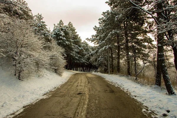 Vinter Bergsväg Svart Asfalt Med Snöiga Träd Sidan Leder Upp — Stockfoto
