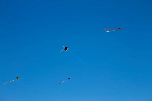 Een Kleurrijke Vliegende Vlieger Met Lint Vliegen Tegen Blauwe Lucht — Stockfoto
