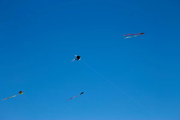 Colorful Flying Kite Ribbon Fly Blue Sky — Stock Photo, Image