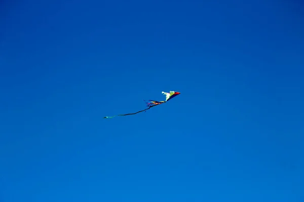 Aquilone Volante Colorato Vola Contro Cielo Blu — Foto Stock