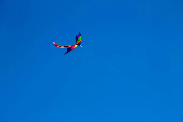 Uma Pipa Voadora Colorida Voa Contra Céu Azul Claro — Fotografia de Stock